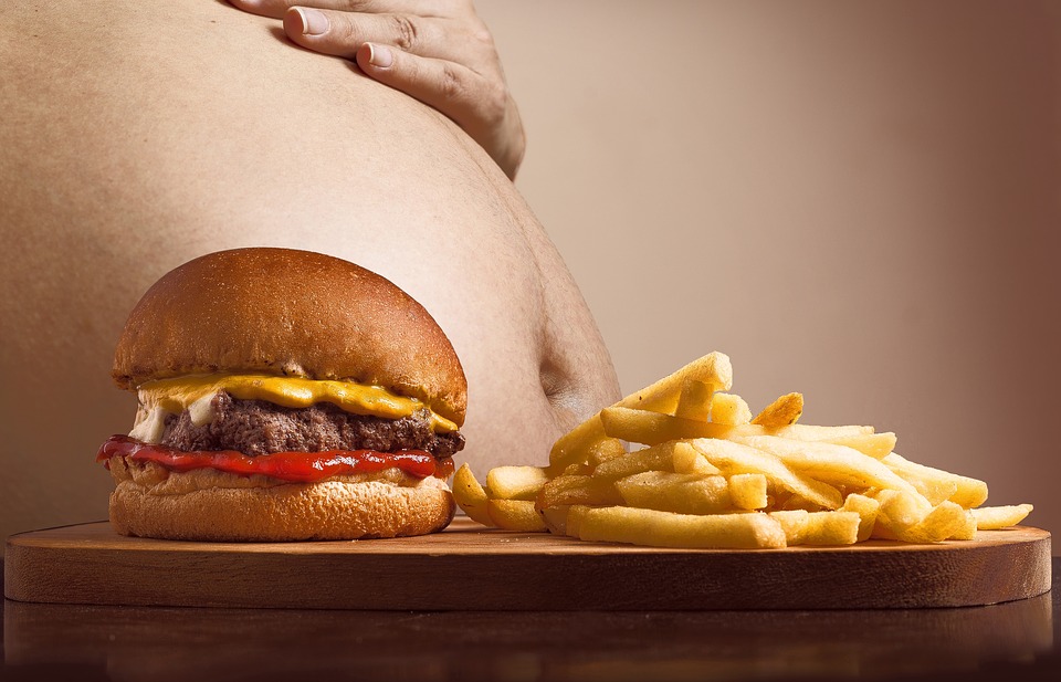hamburger 2683042 960 720 - A Surpreendente Verdade Que Nunca Contaram a Você Sobre Por Que Devemos Fazer Dieta