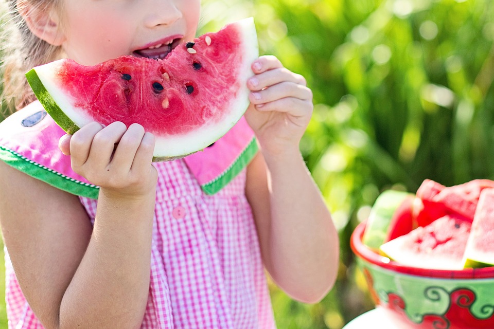 watermelon 846357 960 720 - A Surpreendente Verdade Que Nunca Contaram a Você Sobre Por Que Devemos Fazer Dieta