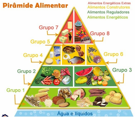 pirâmide alimentar - Pirâmide Alimentar Veja Tudo Sobre Como Funciona