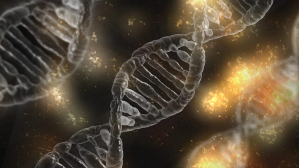 Como seus genes podem desempenhar um papel 1024x576 - Dieta do DNA Para Emagrecer Você Já ouviu Falar?