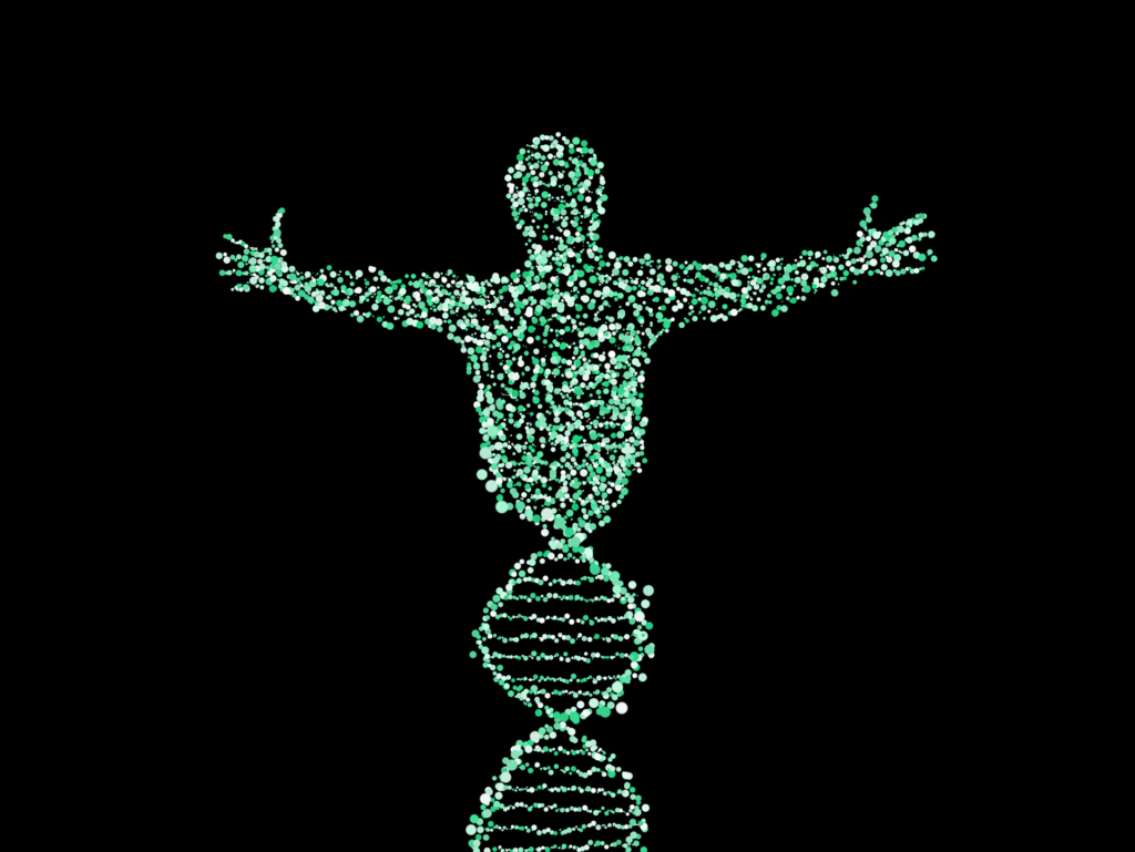 Dieta do DNA Para Emagrecer 1024x769 - Dieta do DNA Para Emagrecer Você Já ouviu Falar?