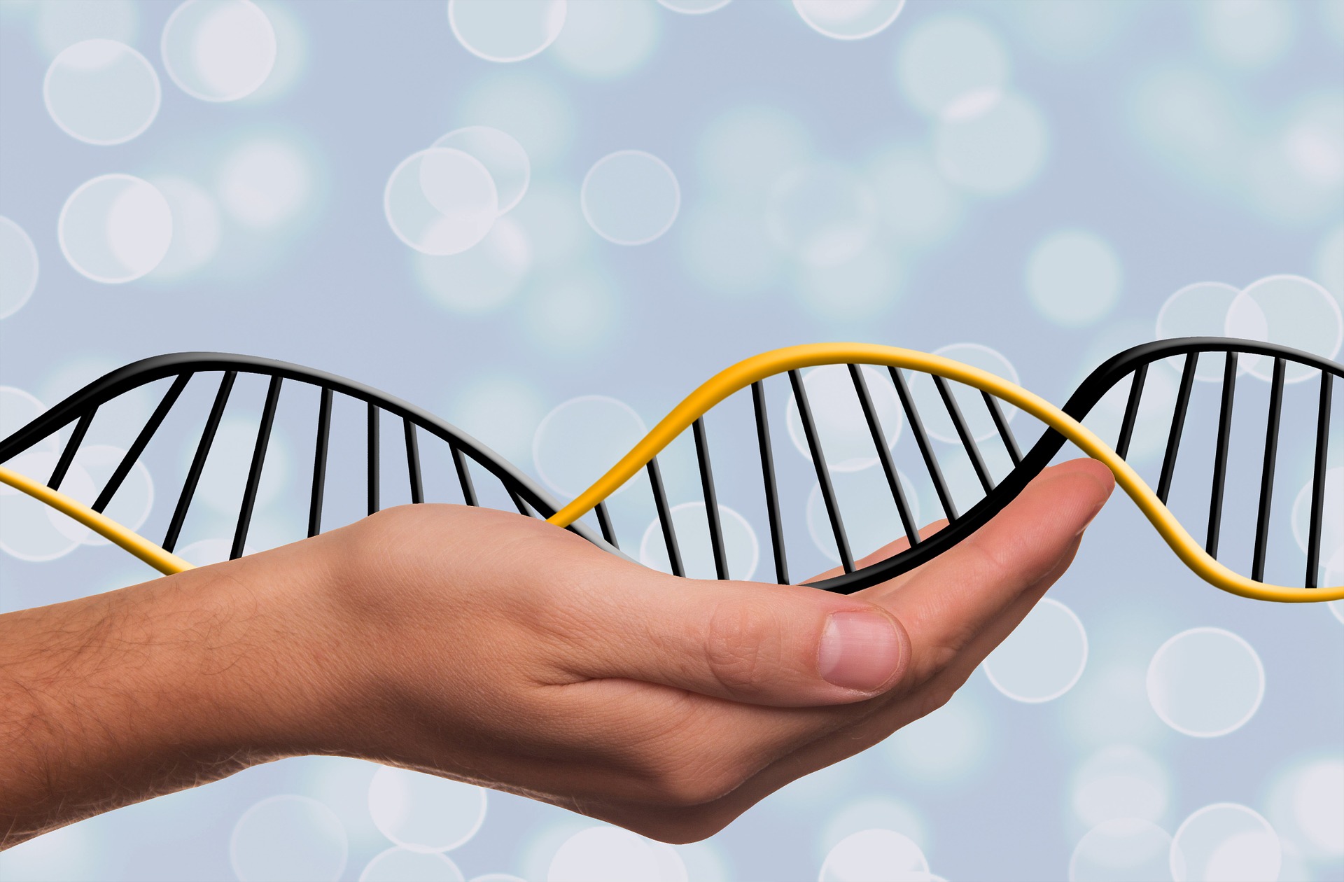 Dieta do DNA Para Emagrecer Você Já ouviu Falar?