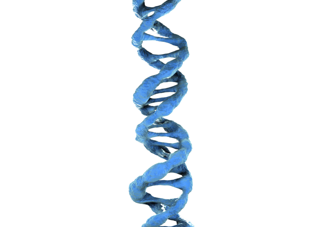 Teste DNA 1024x724 - Dieta do DNA Para Emagrecer Você Já ouviu Falar?
