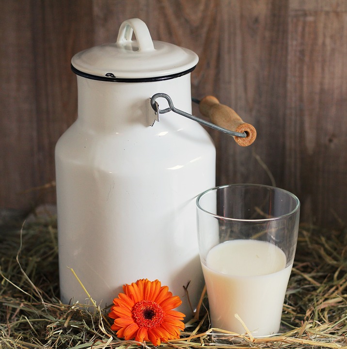 Usar soro de leite Proteínas - Perder Peso Rapidamente Em Casa Principais Maneiras