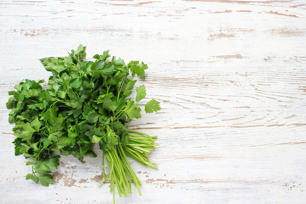 Salsão - Saiba quais são os melhores legumes para emagrecer